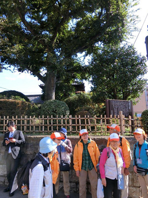 国史跡の中山道志村の一里塚を見学-500