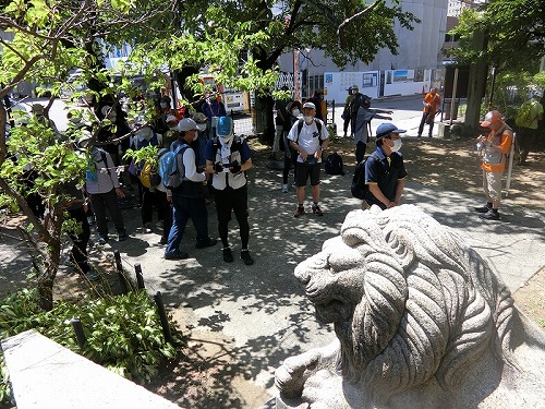 白鬚神社のライオン狛犬