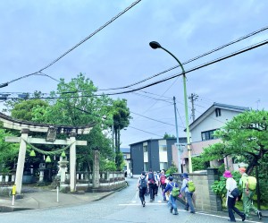 IMG_5262八幡神社