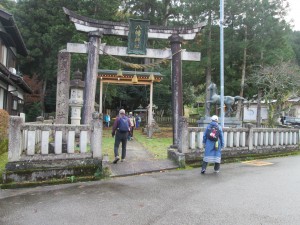 ＊IMG_7519八幡神社の大杉