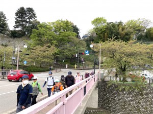 IMG_8055桜橋
