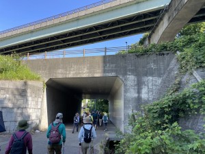 IMG_8509山環くぐり