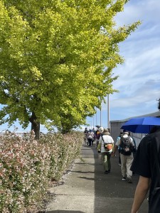 IMG_8573イチョウ並木