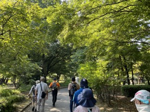 IMG_8490日陰日陰