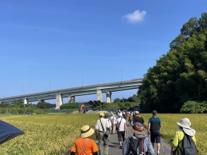 IMG_8506実った稲穂の中を