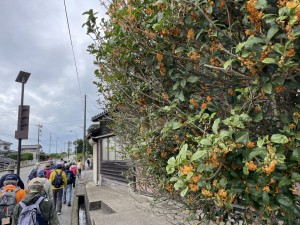 IMG_8736さぁ出発