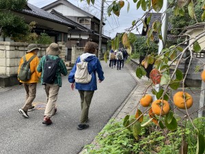 IMG_8740秋ですね