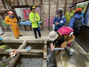 IMG_8822お台場の水2