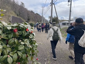 IMG_9091道脇の花々